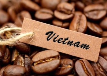 SỨ MỆNH TOÀN CẦU: S54 COFFEE VÀ HÀNH TRÌNH LAN TỎA HƯƠNG VỊ CÀ PHÊ VIỆT